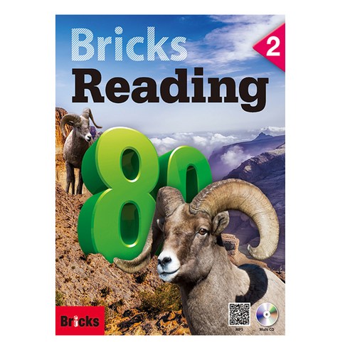 Bricks_Reading_80_2.png